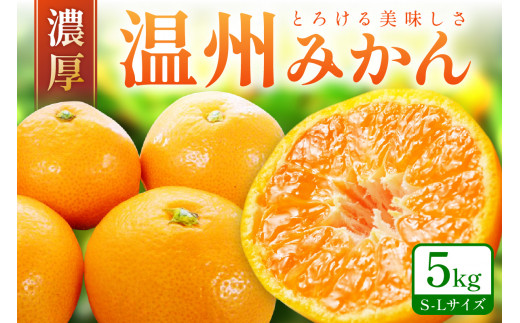 「濃厚な味のとろける美味しさ」 温州みかん 5kg《先行予約》 みかん ミカン  サイズ混合 S~Lサイズ 甘い 果物 フルーツ 濃厚 産地直送 期間限定 デザート 贈り物  贈答