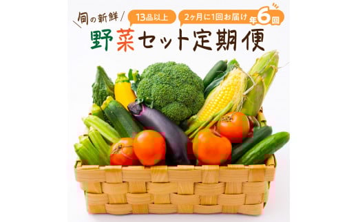 定期便 旬の新鮮野菜セットB【年6回】たっぷり13品以上