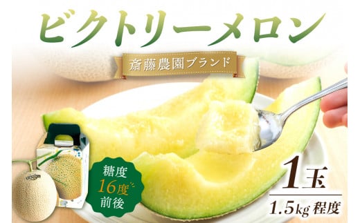 斎藤農園ブランド「ビクトリーメロン」アールスメロン(マスクメロン)1玉 1.5kg程度≪先行予約2026年6月下旬以降発送分≫【配送不可地域:北海道・青森・秋田・岩手・沖縄・離島】