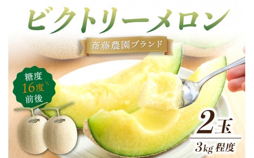 斎藤農園ブランド「ビクトリーメロン」アールスメロン(マスクメロン)2玉3kg程度≪先行予約2026年6月下旬以降発送分≫【配送不可地域:北海道・青森・秋田・岩手・沖縄・離島】