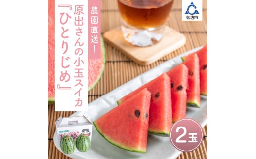 農園直送!原出さんの小玉スイカ(ひとりじめ)《先行予約》【2026年6月下旬頃から順次発送予定】【配送不可地域:北海道、沖縄、離島等】