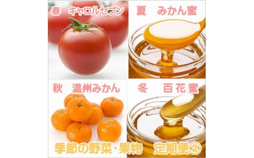 御坊市 旬の野菜・果物定期便(春・夏・秋・冬)4回 B