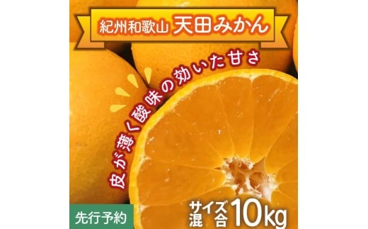 天田みかん(紀州和歌山)家庭用 10kg(先行予約)