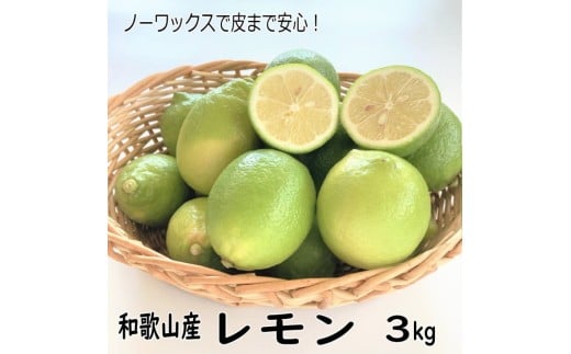和歌山産レモン/グリーンレモン 3kg 【国産レモン】《先行予約》