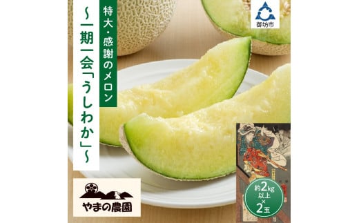やまの農園 感謝のメロン~一期一会「うしわか」~≪先行予約≫【2026年7月中旬より順次発送予定】