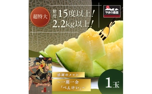 やまの農園 感謝のメロン~一期一会「べんけい」~≪先行予約≫【2026年7月中旬より順次発送予定】