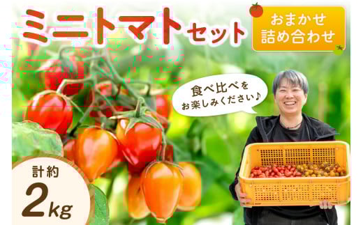 ミニトマトセット(おまかせ詰め合わせ)約2㎏《先行予約》
