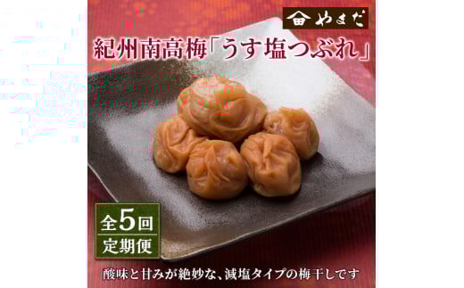 【定期便5回】紀州南高梅うす塩つぶれ（塩分約6％）