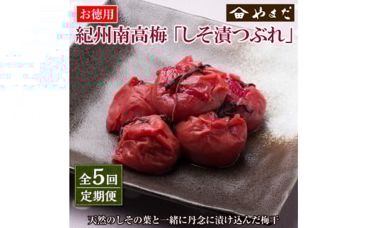 【定期便5回】紀州南高梅しそ漬つぶれ(塩分約15％)