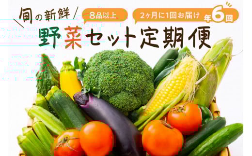 【定期便】旬の新鮮野菜セットたっぷり8種以上 6か月