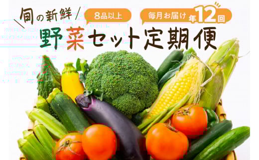 【定期便】旬の新鮮野菜セットたっぷり8種以上 12か月