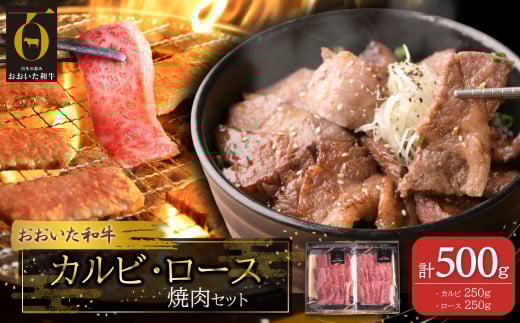 おおいた和牛カルビ・ロース焼肉セット【合計500g】 G23
