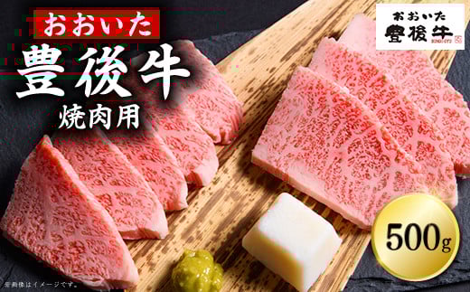 豊後牛焼肉用 500g D2