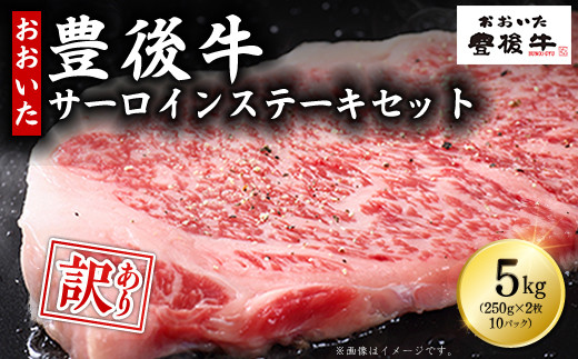 訳あり!豊後牛サーロインステーキセット5kg(250g 2枚入り×10p) D10