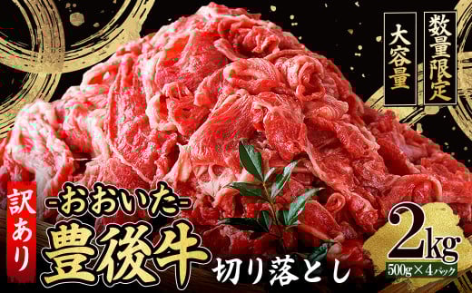 訳あり!【数量限定】おおいた豊後牛切り落とし2kg(500g×4p) D25