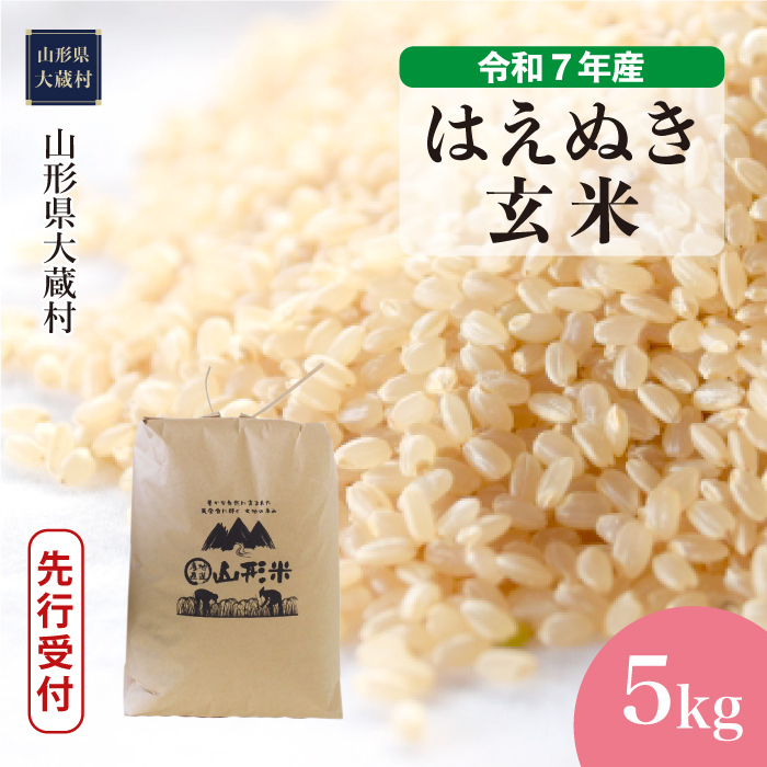 [令和7年産米先行受付] 大蔵村産 はえぬき [玄米] 5kg (5kg×1袋) 配送時期指定できます!