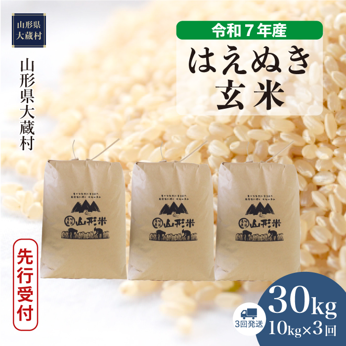 [令和7年産米先行受付] 大蔵村産 はえぬき [玄米]30kg 定期便 (10kg×3回) 配送時期指定できます!