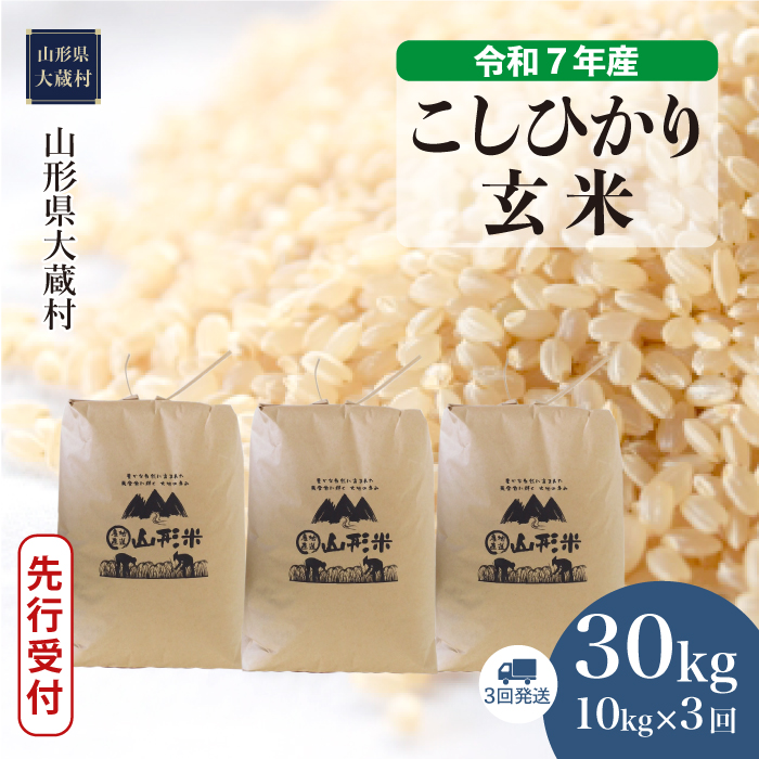 [令和7年産米先行受付] 大蔵村産 こしひかり [玄米]30kg 定期便 (10kg×3回) 配送時期指定できます!