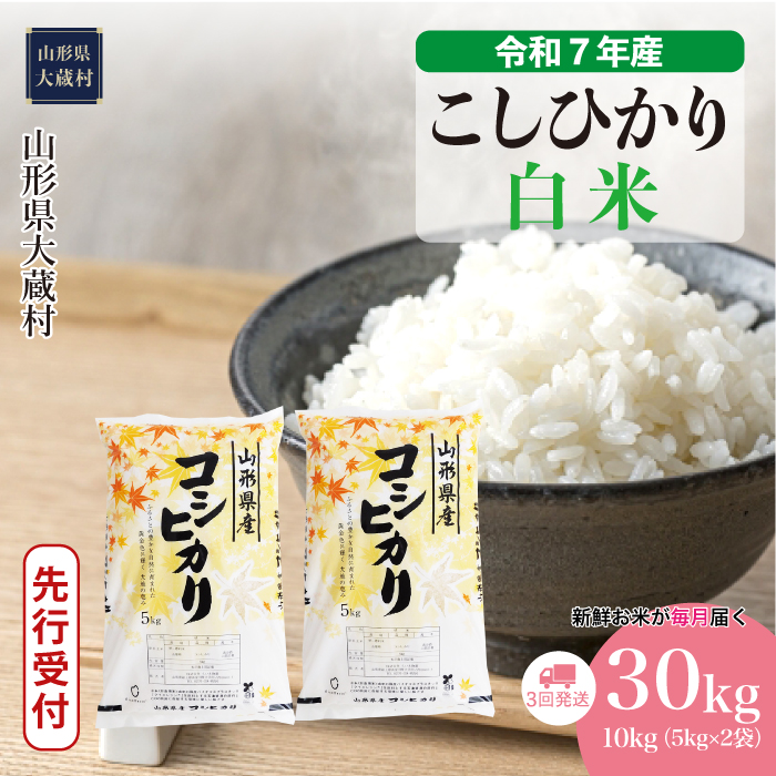 [令和7年産米先行受付] 大蔵村産 こしひかり [白米]30kg定期便 (10kg×3回) 配送時期指定できます!