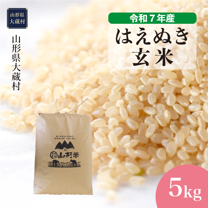 ＜令和7年産米＞ はえぬき 【玄米】 5kg （5kg×1袋） 配送時期指定できます！