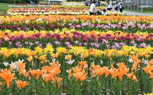 1．伝統芸能並びに地域文化の継承及び育成に関する事業