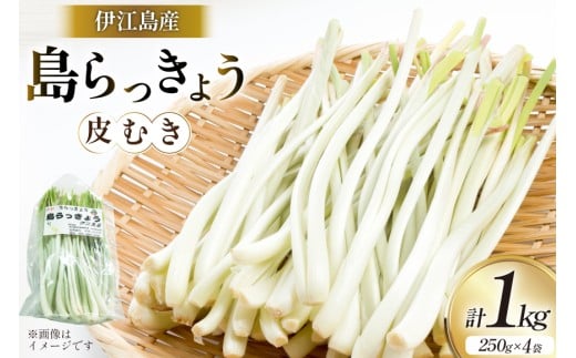 【期間限定発送】島らっきょう 生 皮むき 250g 4袋 計 1kg [ミュージアム 沖縄県 伊江村 ie47bde230011] 沖縄 おつまみ らっきょう 国産