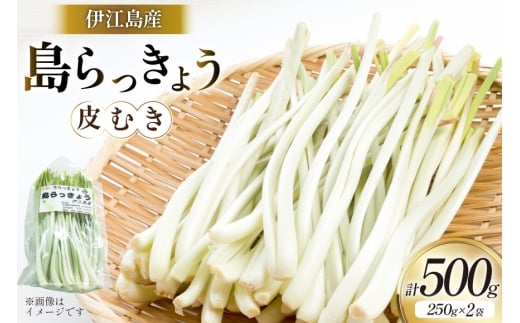 【期間限定発送】 島らっきょう 生 皮むき 250g 2袋 計 500g [ミュージアム 沖縄県 伊江村 ie47bde230012] 沖縄 おつまみ らっきょう 国産