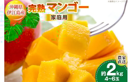 【期間限定発送】 家庭用 マンゴー (アーウィン種) 約 2kg (4〜6玉) [伊江村マンゴー部会 沖縄県 伊江村 ie47bde320011] 沖縄 フルーツ 果物 甘い 夏 濃厚 Mango 果物 果実 くだもの