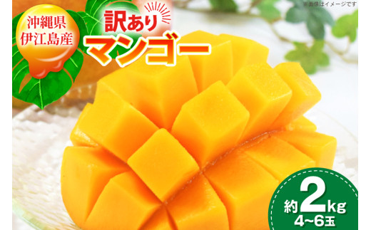 【期間限定発送】 訳あり マンゴー (アーウィン種) 約 2kg (4〜6玉) [伊江村マンゴー部会 沖縄県 伊江村 ie47bde320010] 沖縄 フルーツ 果物 甘い 夏 濃厚 Mango 果物 果実 くだもの