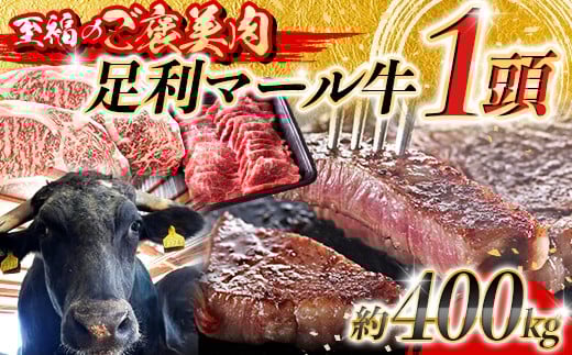 【至福のご褒美肉】足利マール牛1頭！　約400kg F7Z-1651