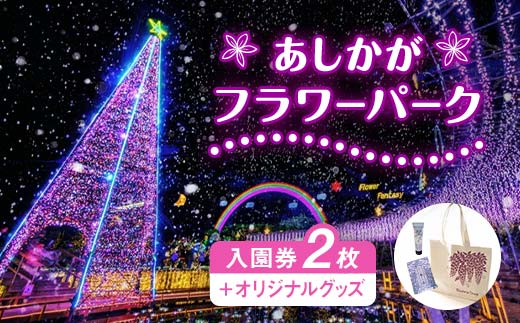 【ふるさと納税】あしかがフラワーパーク入園券(2枚)+オリジナルグッズ F7Z-751