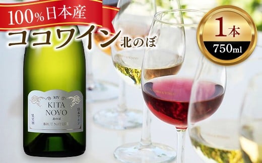 スパークリングワイン/北のぼ【 ワイン お酒 栃木県 足利市 】 F7Z-011
