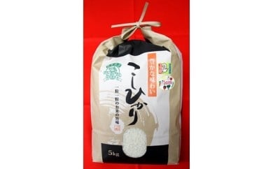 0010-001  特別栽培米こしひかり(令和7年産)5㎏(1袋)【毎月数量限定】