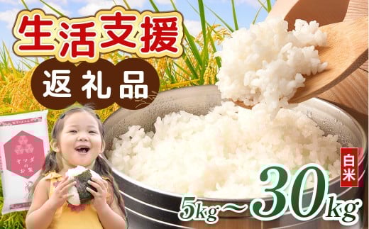 【令和7年産含む】 近江ブレンド米 10kg 愛荘町産 白米 精米 米 お米 単一原料米 ブランド米 銘柄米 国産 ご飯 白飯 ゴハン 食品 支援 支援品 生活支援 生活応援 送料無料 AY002