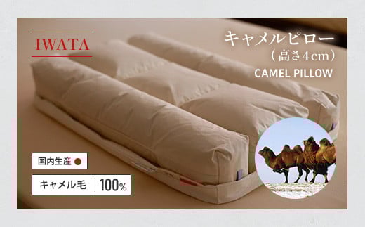 IWATA キャメルピロ― (高さ4㎝) 枕 ラクダ AA045