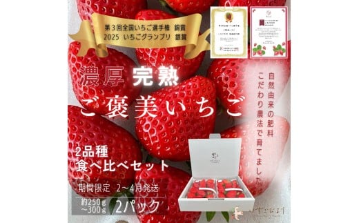 完熟いちご食べ比べセット品種おまかせ 滋賀県愛荘町産 2026年2月~2026年4月頃発送 BJ01