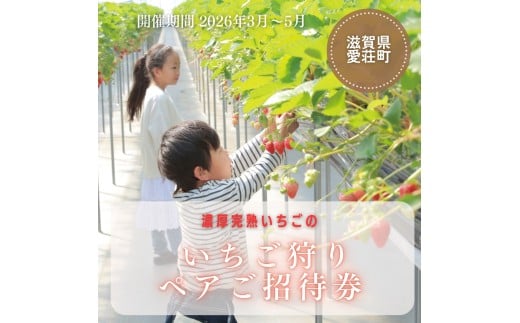 いちご狩り ペアご招待券 期間2026年3月末頃~2026年5月末日頃(いちご狩りシーズン期間内) BJ04
