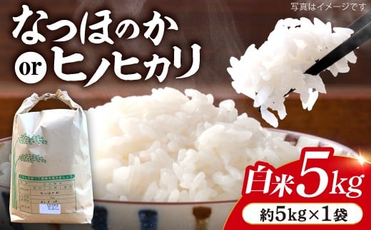 米 【令和7年産 新米】 白米 （ なつほのか or ヒノヒカリ ） 5kg  ＜夢農園 モリピー＞ [CEJ001] 白米 米 お米 ひのひかり なつほのか  こめ ごはん ご飯 西海 長崎 新米 5kg