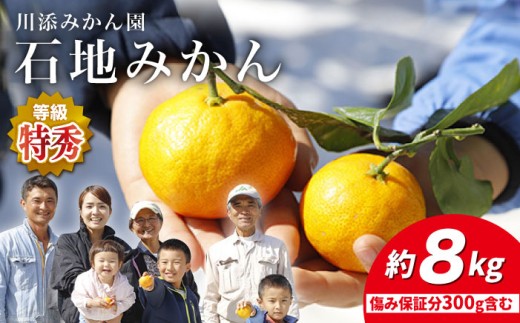 【12月上旬より配送】 石地みかん /特秀品 みかん 約8kg（傷み保証分300g含む）みかん ミカン 西海 みかん 西海市 みかん 贈答 ギフト ＜川添みかん園＞ [CCT008]