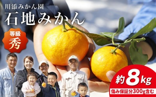 【12月上旬より配送】 石地みかん /秀品 みかん 約8kg（傷み保証300g含む） みかん ミカン 西海 みかん 西海市 みかん 贈答 ギフト  ＜川添みかん園＞ [CCT007]