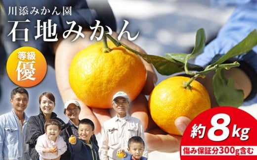 【12月上旬より配送】 石地みかん/優品 みかん 約8kg（傷み保証分300g含む）みかん ミカン 西海 みかん 西海市 みかん 贈答 ギフト  ＜川添みかん園＞ [CCT006]
