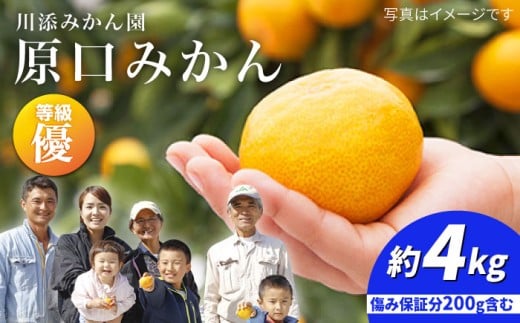 【11月下旬より配送】 原口 みかん  優品/ みかん 約4kg（傷み保証分200ｇ含む）＜川添みかん園＞ [CCT001] 長崎 みかん ミカン 西海  西海市  贈答 ギフト