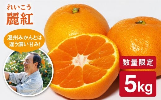 みかん 【先行予約☆限定40箱】 麗紅 （れいこう）約5kg みかん ＜原口果樹園＞ [CCW003] 長崎 西海 みかん ミカン 蜜柑 みかん 柑橘 贈答 ギフト