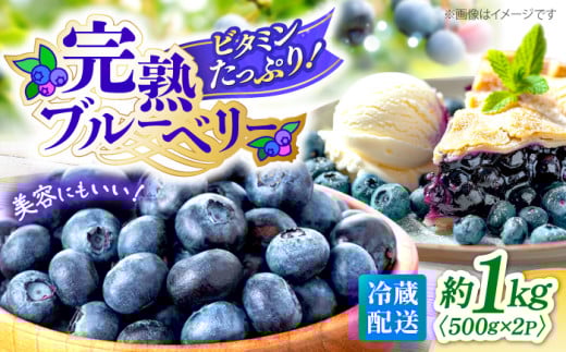 【先行予約】【2026年6月中旬より順次発送】 完熟 ブルーベリー 計1kg（約500g×2パック） ＜広津農園＞ [CBN008] 冷蔵 栽培期間中 農薬不使用  ブルーベリー 果物 果実 冷蔵 生ブルーベリー ブルーベリー 西海市産