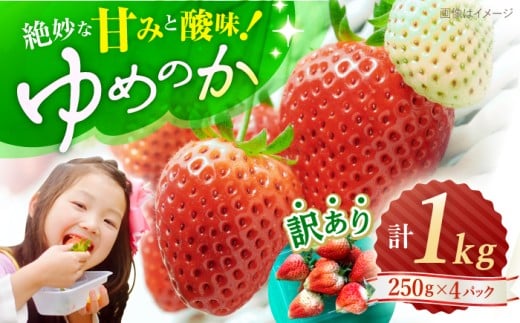 いちご 【先行予約】 【 訳あり 】 ゆめのか 苺 計 1kg （250g×4パック）＜川原農園＞ [CDR001] 長崎 西海 イチゴ いちご 苺 ゆめのか いちご 訳あり 家庭用 8千円 8000円 1万円以下