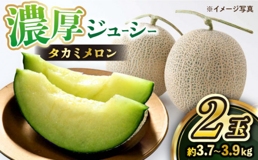 高糖度 メロン【先行予約】【2026年5月下旬より順次発送】タカミ メロン 2玉 (計3.7kg～3.9kg) ＜白石農園＞ [CBI001] メロン めろん 果物 フルーツ メロン めろん 長崎 西海市 贈答 ギフト メロン