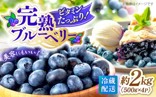 【先行予約】【2026年6月中旬より順次発送】完熟 ブルーベリー 計2kg ＜広津農園＞ [CBN009] 冷蔵 栽培期間中 農薬不使用 ブルーベリー 果物 果実 冷蔵 生ブルーベリー ブルーベリー 西海市産 ぶるーべりー