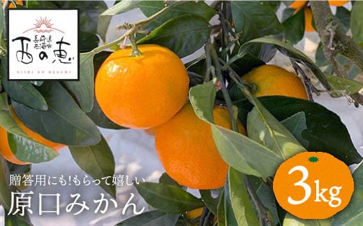 みかん 【11月中旬よりお届け☆贈答にもオススメ】 原口 みかん 約3kg＜ファームまるだ＞ [CDT005]  長崎県 西海市 みかん ミカン 柑橘 フルーツ 西海 オレンジ 果物 ミカン 贈答 ギフト フルーツ 果実 甘い あまい デザート 新鮮 産地直送 くだもの