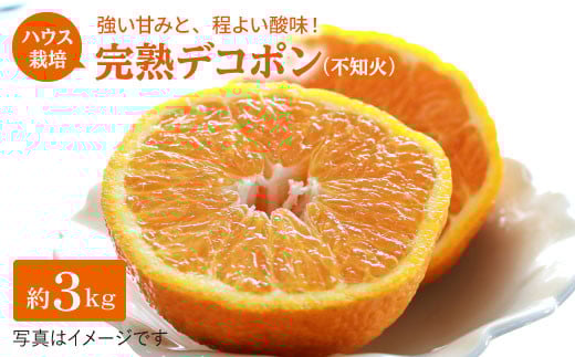 みかん デコポン 【4月上旬より順次発送】糖度13～15度！完熟 不知火 約 3kg ＜原口果樹園＞ [CCW005] ハウス木成 西海市 デコポン 不知火 みかん 柑橘 完熟 甘い でこぽん みかん 長崎県産 不知火 完熟デコポン 贈答 ギフト
