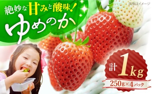 いちご 【先行予約】 ゆめのか いちご 計 1kg （250g×4パック） 長崎 西海 イチゴ いちご 苺 ゆめのか いちご 贈答 ギフト 9千円 9000円 1万円以下 ＜川原農園＞ [CDR009]